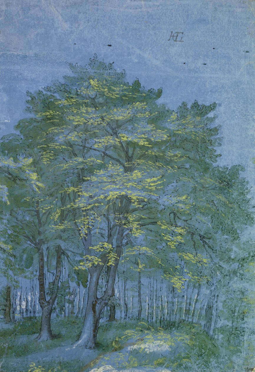 Gruppe af træer i en skov, ca. 1600 (pen og blæk og vask på papir) af Hendrik Goltzius