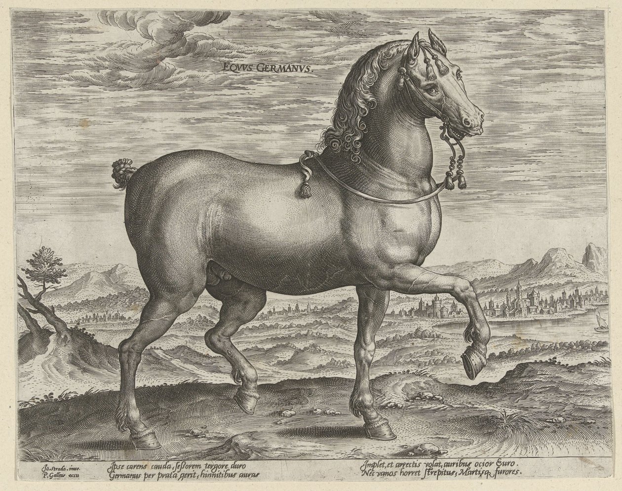 Hingst fra Tyskland Eqvvs Germanvs (titel på objekt) Hesteracer fra de kongelige stalde i Don Juan af Østrig (serietitel) Equile Ioannis Austriaci Caroli (serietitel) af Hendrick Goltzius (possibly)