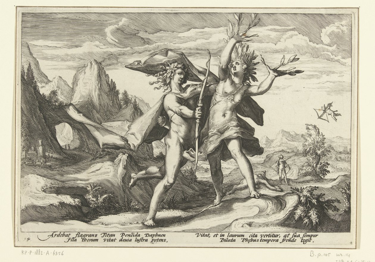 Daphne bliver til et laurbærtræ Ovids metamorfoser (serietitel) af Hendrick Goltzius (workshop of)