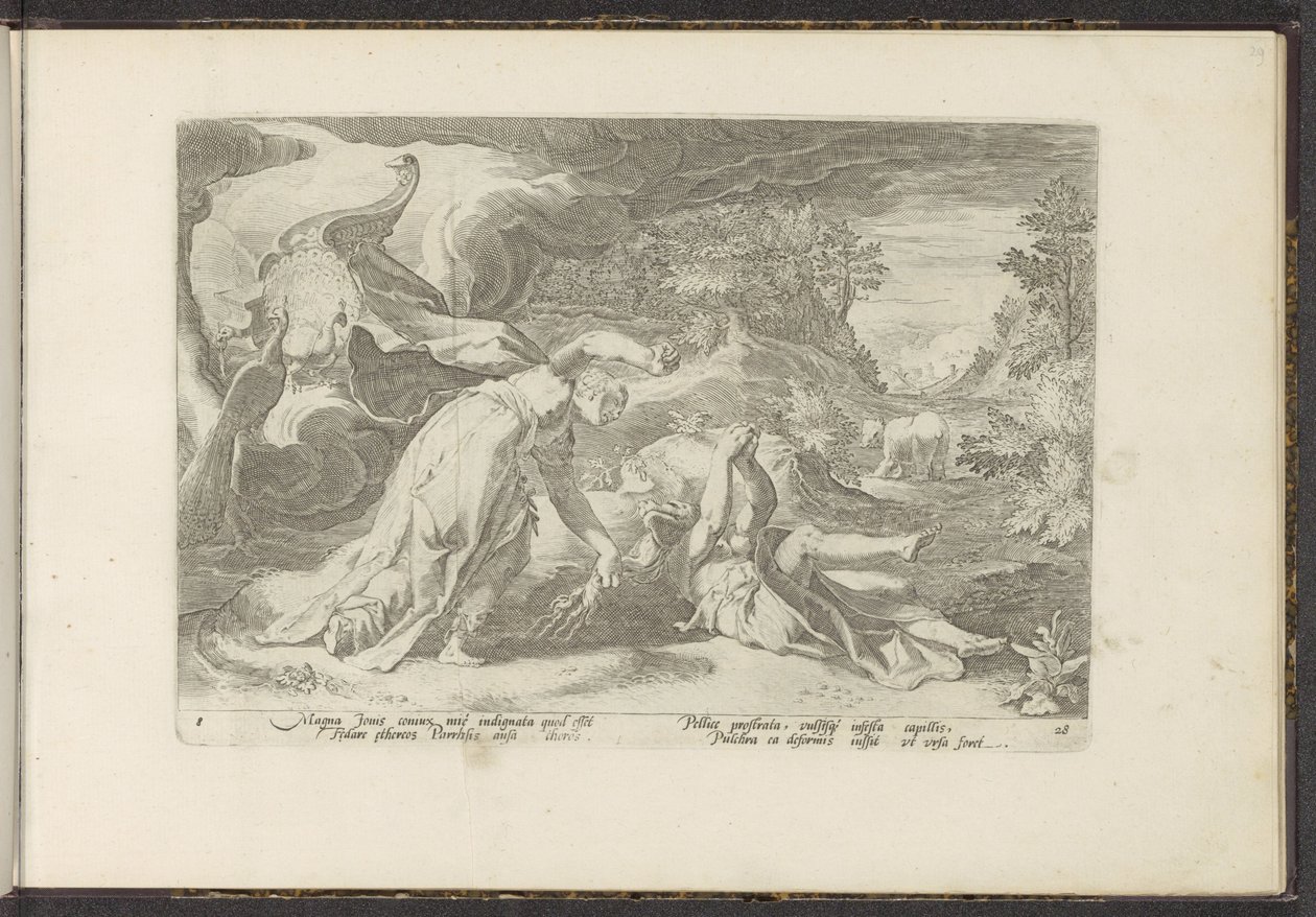 Juno forvandler Callisto til en bjørn Ovids metamorfoser (serietitel) Genskabelser af P. Ovidius Naso (serietitel) af Hendrick Goltzius (workshop of)