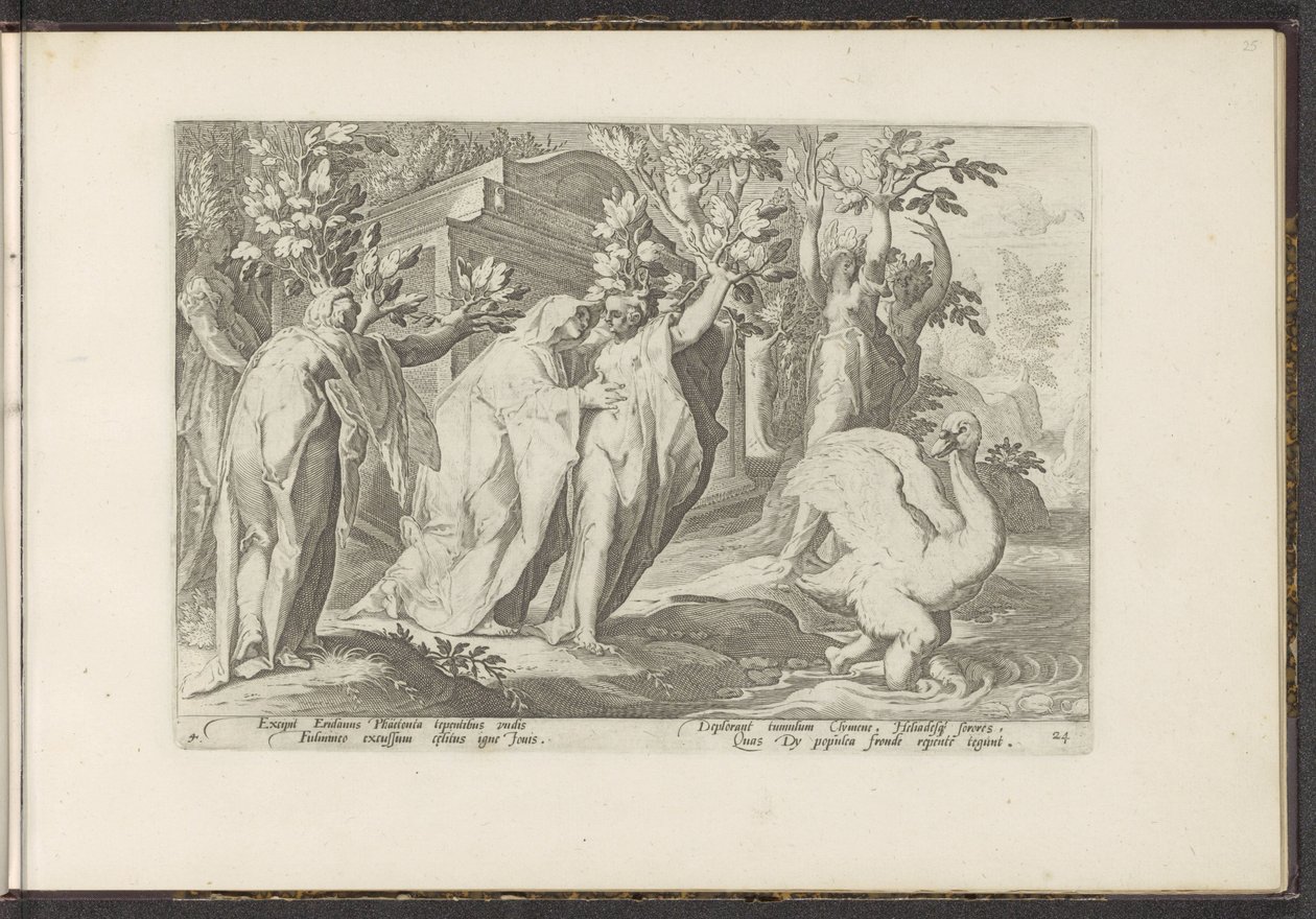 Phaëthons søstre bliver til poppel og hans ven til en svane Ovids metamorfoser (serietitel) Genskabelser af P. Ovidius Naso (serietitel) af Hendrick Goltzius (workshop of)