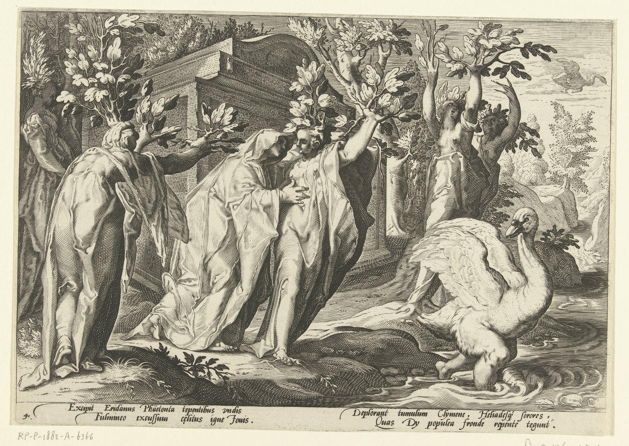 Phaëthons søstre bliver til poppel og hans ven til en svane Ovids metamorfoser (serietitel) af Hendrick Goltzius (workshop of)