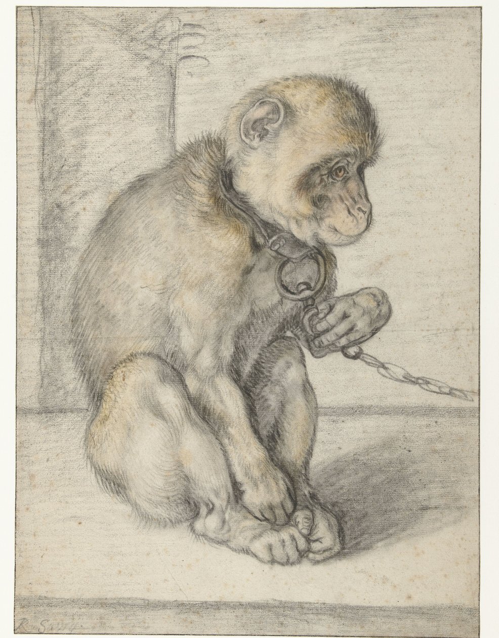 En siddende abe på en kæde Abe på en kæde, siddende af Hendrick Goltzius