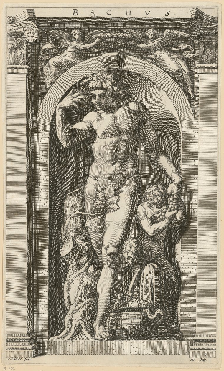 Bacchus, blad 7 i serien »Otte antikke guddomme« af Hendrick Goltzius