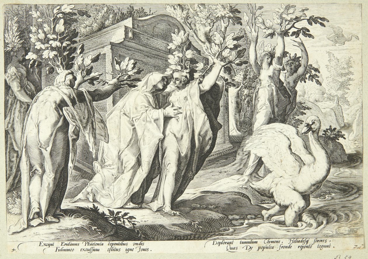 Faetons søstre forvandles til poppeltræer og Cygnus til en svane af Hendrick Goltzius