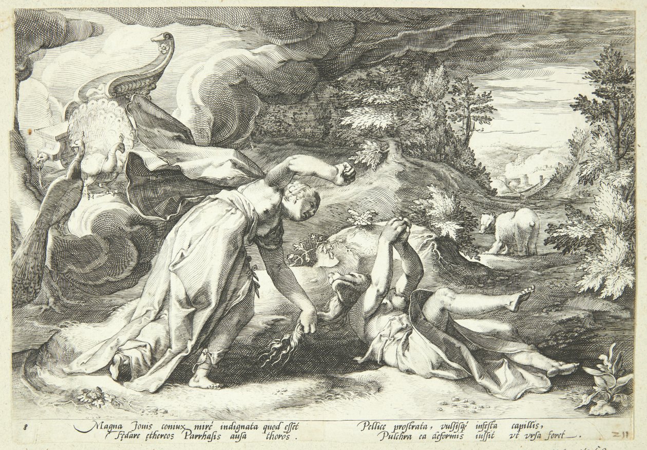 Juno forvandler Kallisto til en bjørn af Hendrick Goltzius