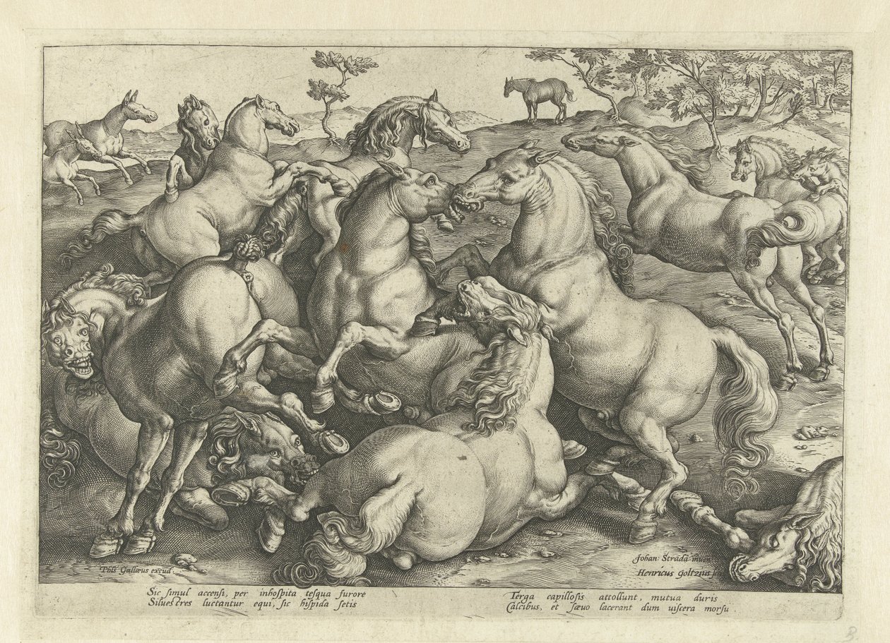Tolv kampheste Hesteracer fra de kongelige stalde i Don Juan af Østrig (serietitel) af Hendrick Goltzius
