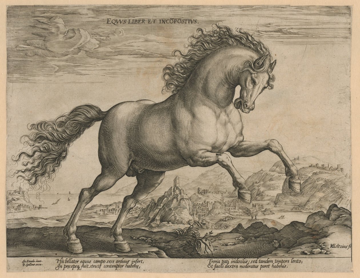 vild hest Eqvvs liber et incompǒsitvs (titel på objekt) Hesteracer fra de kongelige stalde i Don Juan af Østrig (serietitel) af Hendrick Goltzius