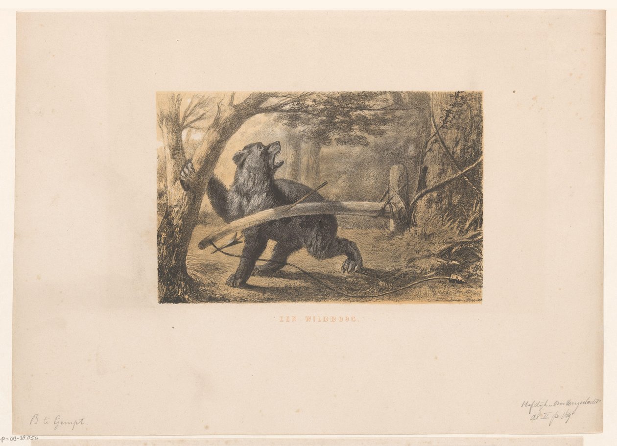 bjørn i en fælde Wildbow (titel på objekt) af Hendrik Adriaan Christiaan Dekker