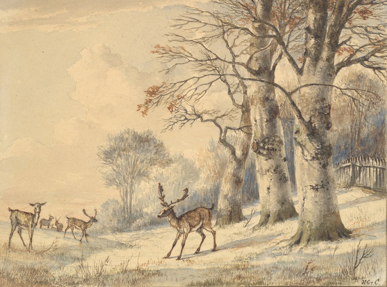 Hjorte under bøgetræer om sommeren, 1853. af Hendrik Gerrit ten Cate