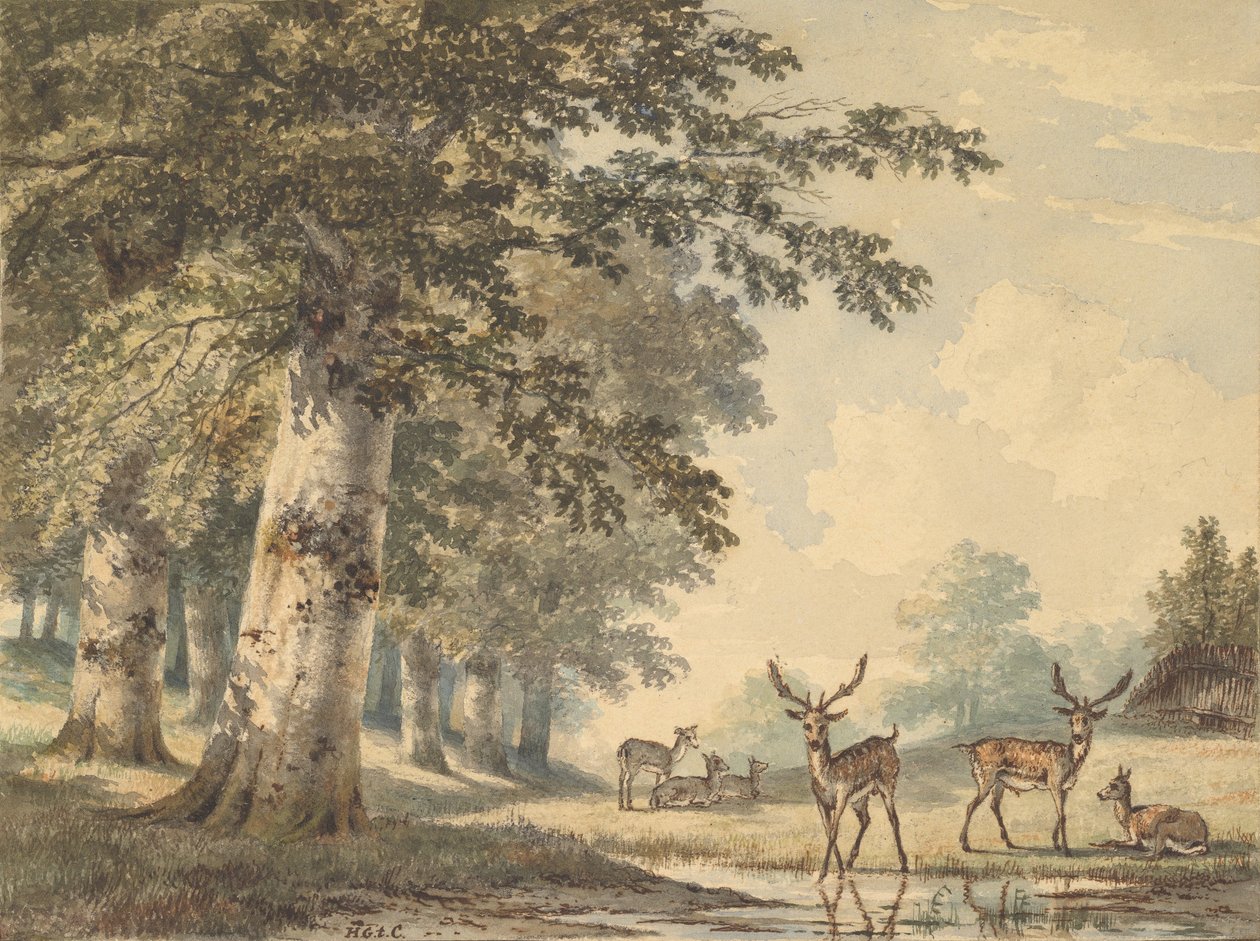 Hjorte under bøgetræer om vinteren, 1853. af Hendrik Gerrit ten Cate