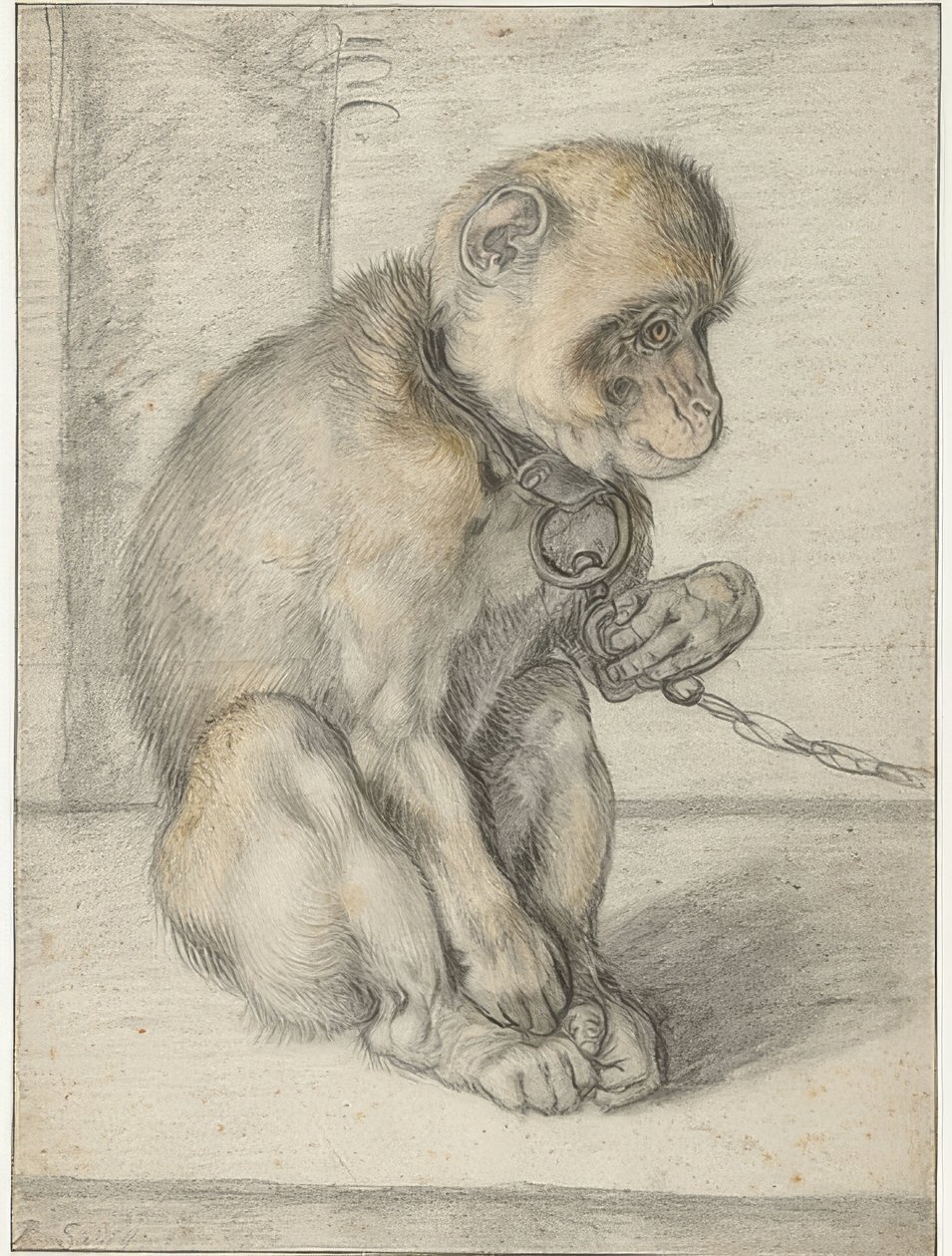 En siddende abe på en kæde. 1592-1602 af Hendrik Goltzius