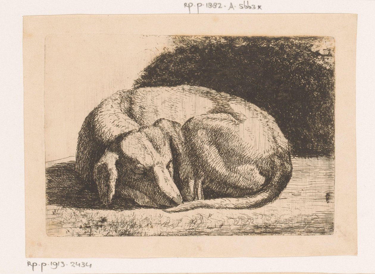 sovende hund af Hendrik Jozef Franciscus van der Poorten