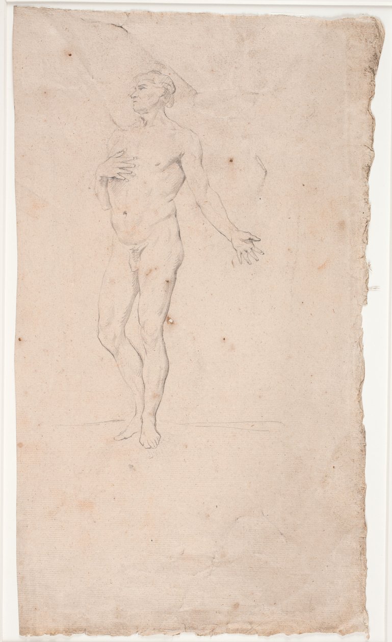 Mandlig modelstudie, stående af Hendrik Krock
