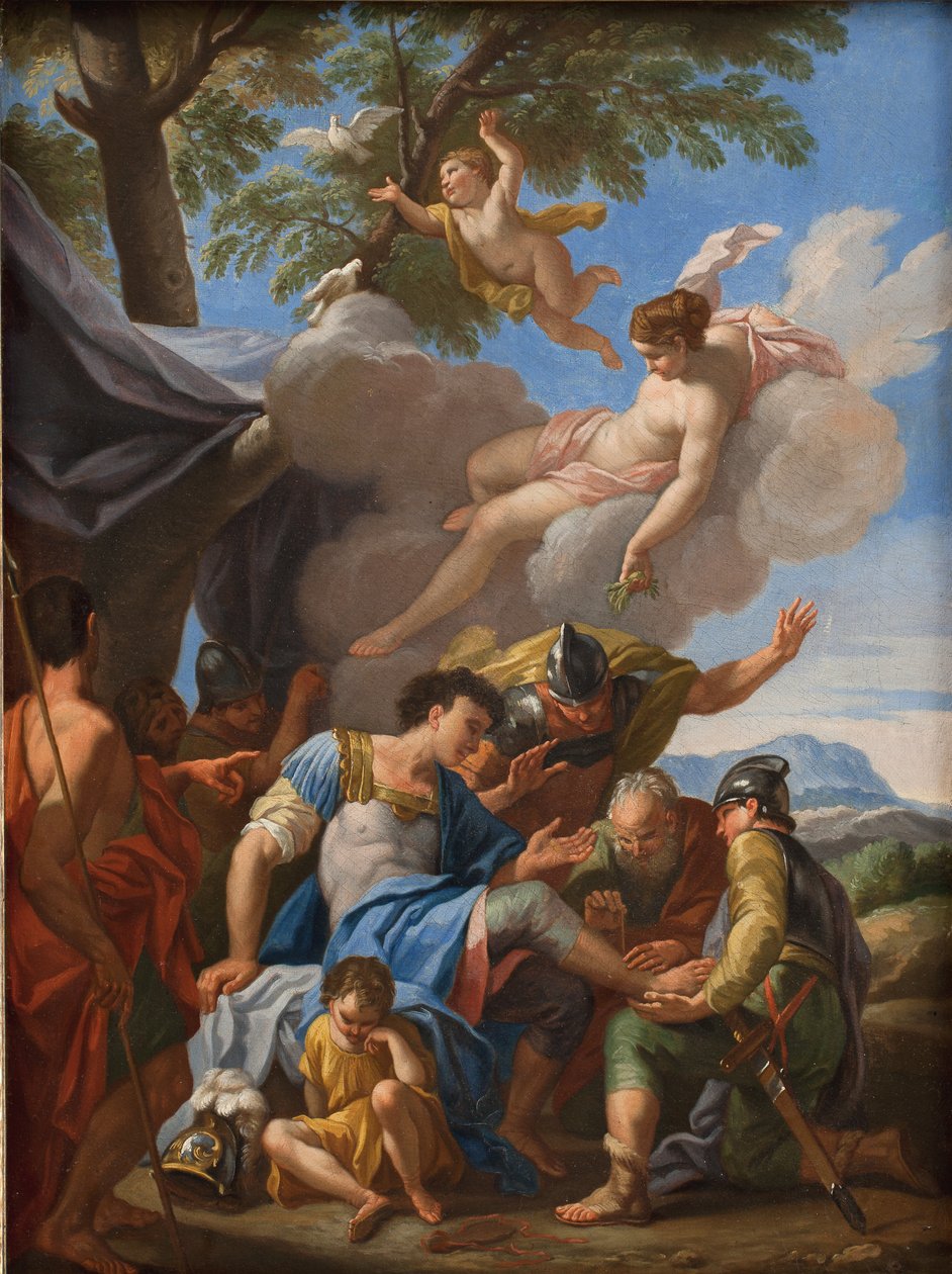Venus bringer simple til den sårede Aeneas af Hendrik Krock
