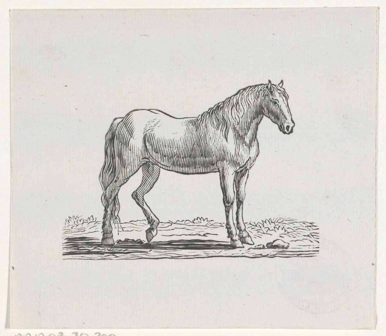Hest af Hendrik Numan