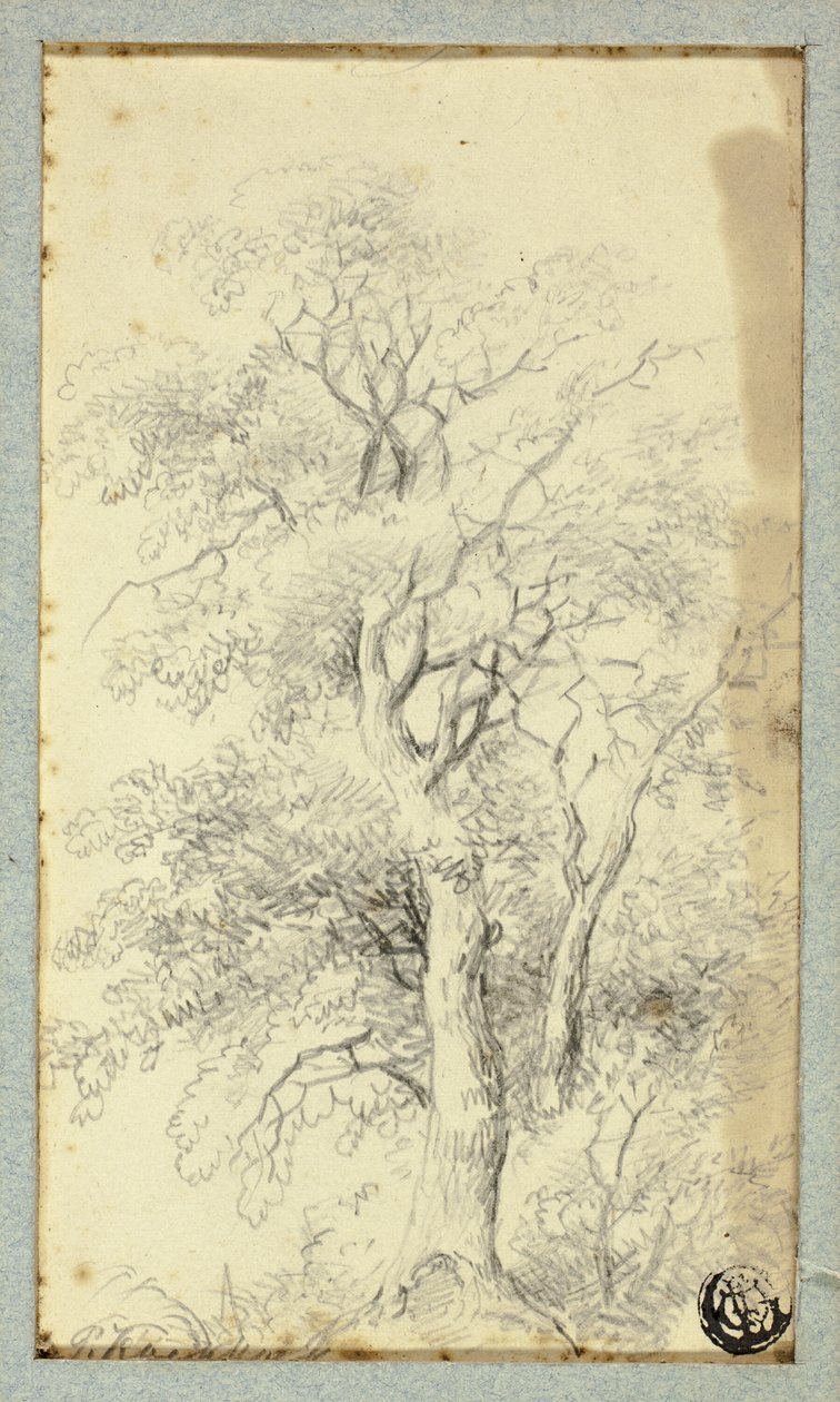 Træ af Hendrik Pieter Koekkoek