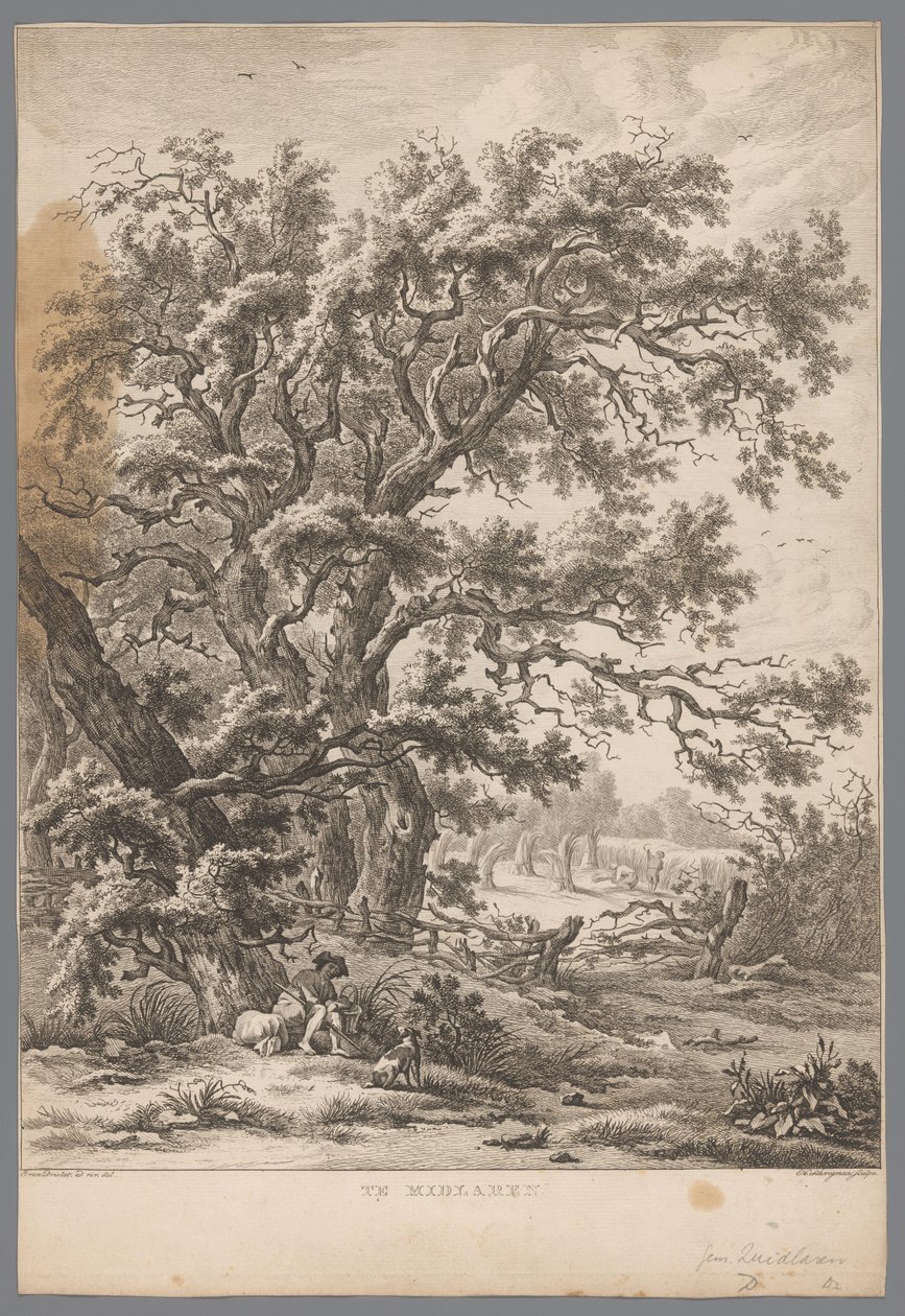 Landskab med mand og hund under et træ ved Midlaren I Midlaren (titel på objekt) Ni ansigter i Drenthe (serietitel) IX Ansigter i og nær Drenthes landskab (serietitel) af Hendrik Schwegman