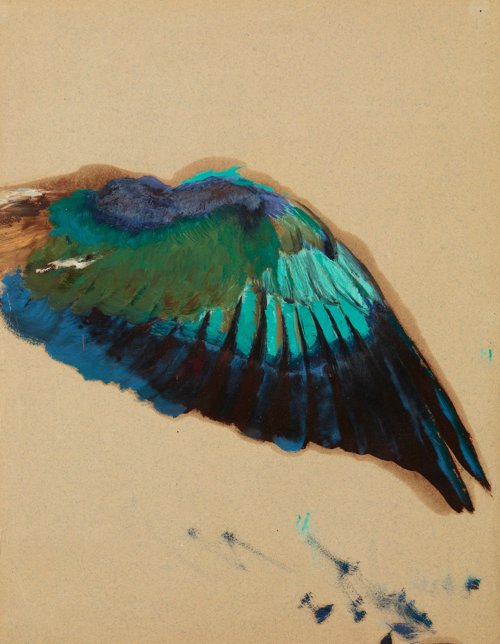 Study of a Wing, ca. 1899 (olie på papir) af Henryk Siemiradzki