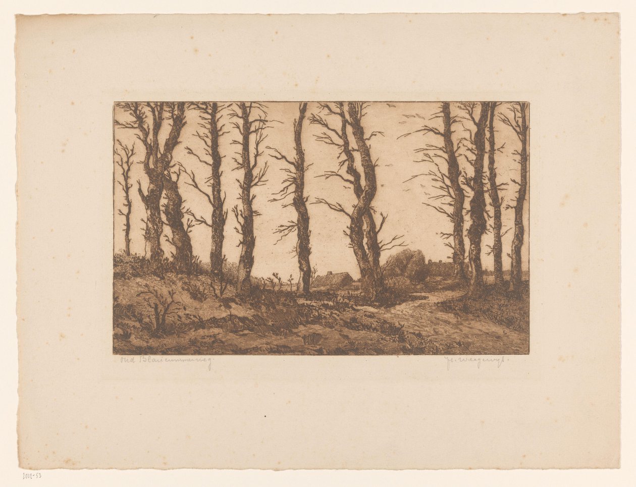 Oud Blaricummerweg (original titel på objekt) af Hendrik Weegewijs (signed by artist)