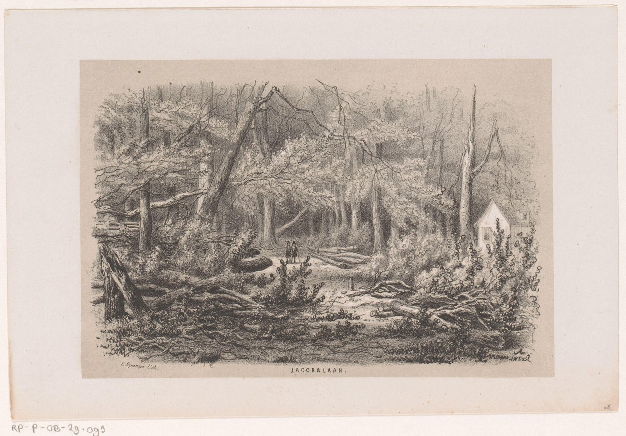 Træer blæst ned på Jacobalaan efter stormen den 28. maj 1860 Jacobalaan (titel på objekt) Album med ti litografiske skitser, forestillende Tooneelen af ​​ødelæggelsen, ophidset af stormen den 28. maj 1860 i 