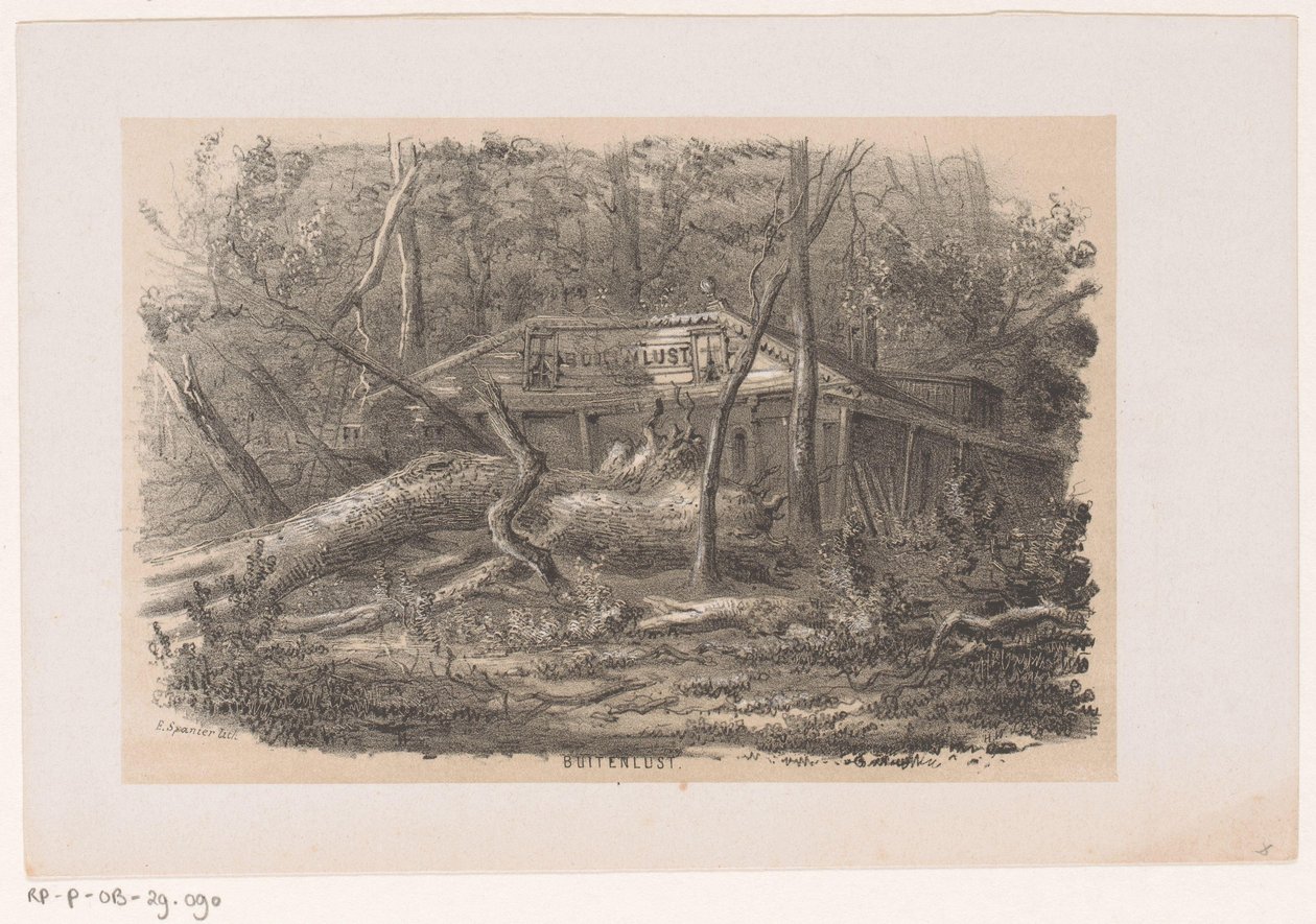Træ blæst ned ved Buitenlust efter stormen den 28. maj 1860 Buitenlust (titel på objekt) Album med ti litografiske skitser, forestillende Tooneelen af ​​ødelæggelsen, ophidset af stormen den 28. maj 1860 i 