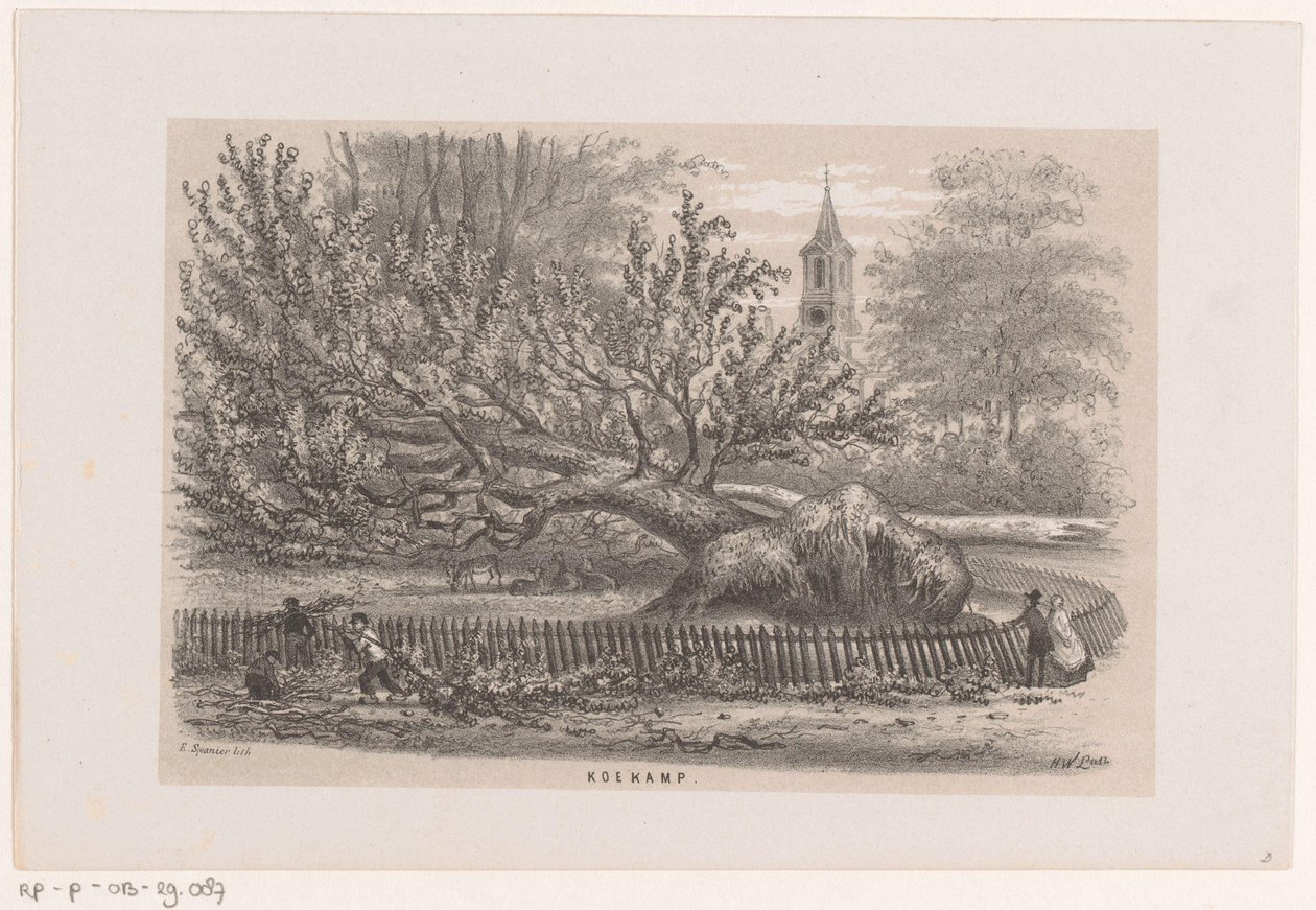 Træ blæst ned ved Koekamp, ​​​​efter stormen den 28. maj 1860 Koekamp (titel på objekt) Album med ti litografiske skitser, forestillende Tooneelen af ​​ødelæggelsen, ophidset af stormen den 28. maj 1860 i 