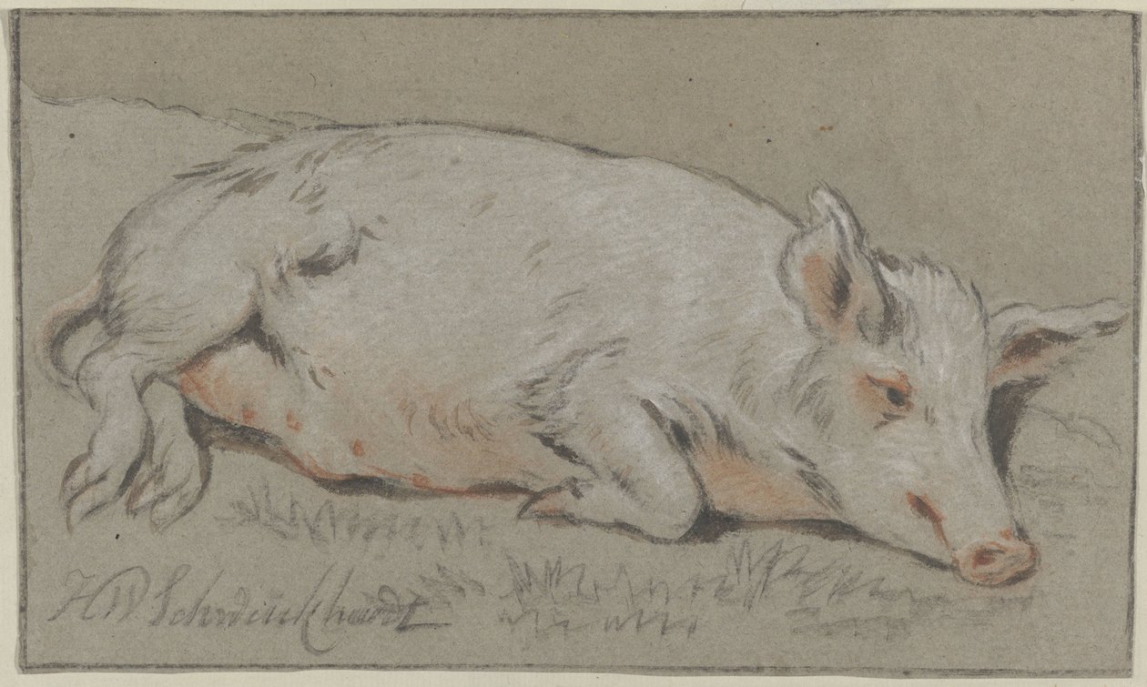 liggende gris af Hendrik Willem Schweickhardt (signed by artist)