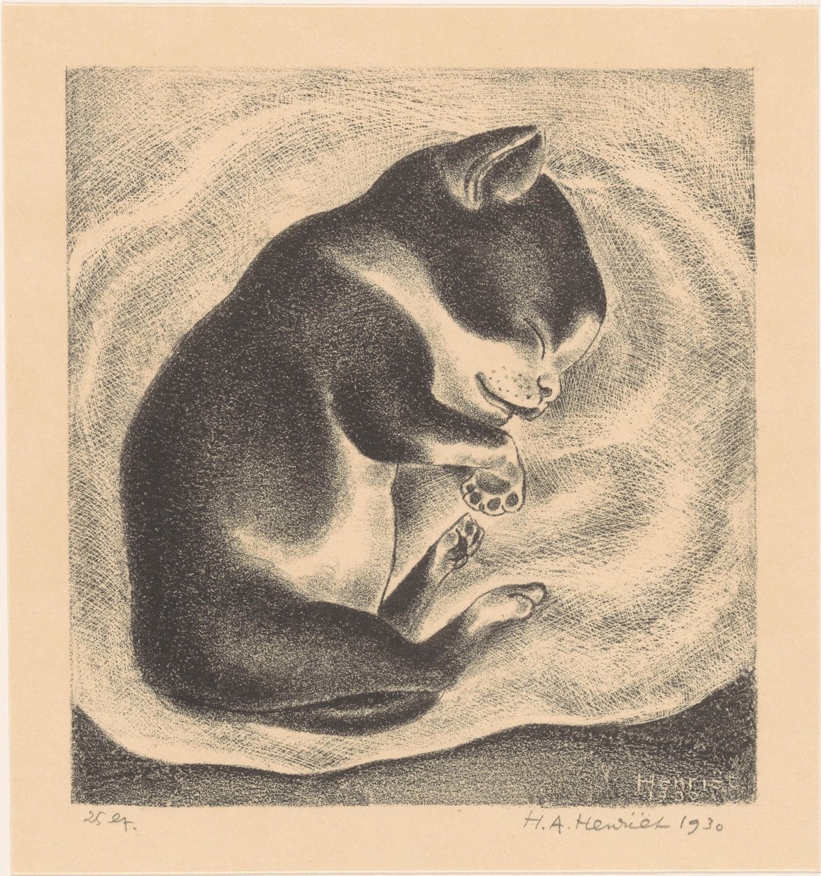 Sovende ung kat af Henk Henriët (signed by artist)
