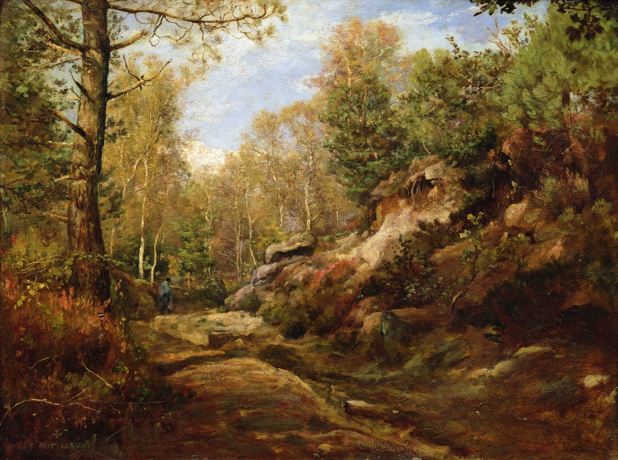 Fyrretræer og birketræer eller, Fontainebleau-skoven, ca. 1855-57 af Henri Joseph Constant Dutilleux
