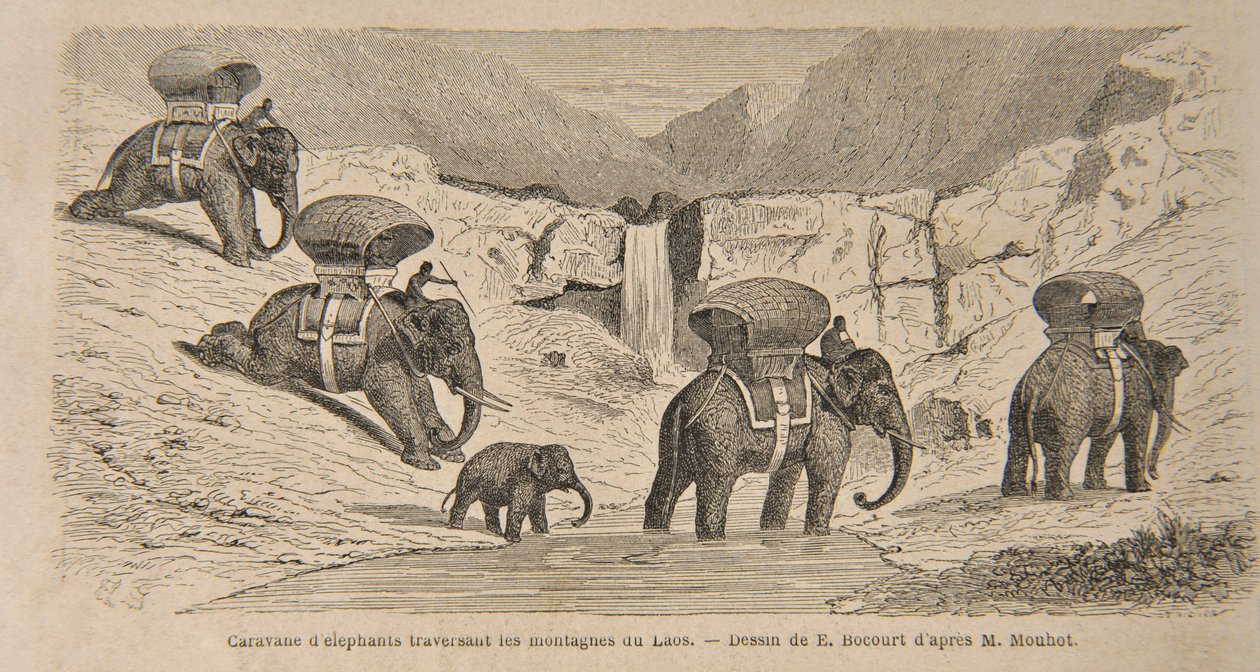 Caravan of Elephants Crossing the Mountains of Laos, print lavet af E. Bocourt, illustration fra 
