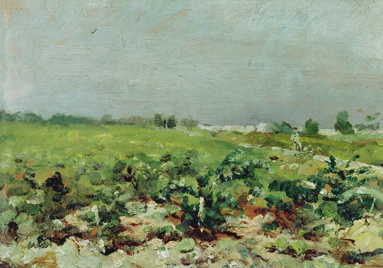 Celeyran, Udsigt over vingården, 1880 af Henri de Toulouse Lautrec