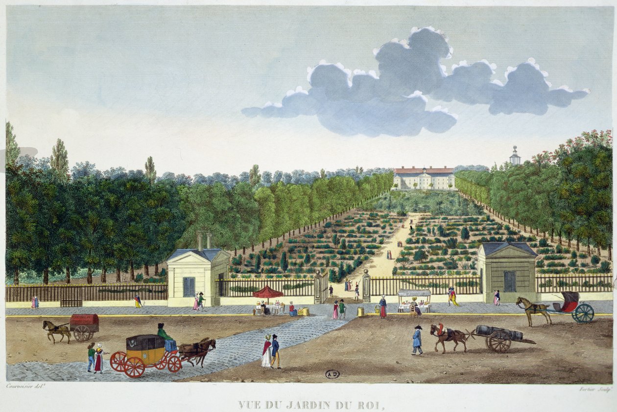 Udsigt over Jardin du Roi i Paris fra Austerlitz bro, indgraveret af Claude Fortier (1775-1835) (farvegravering) af Henri (after) Courvoisier Voisin