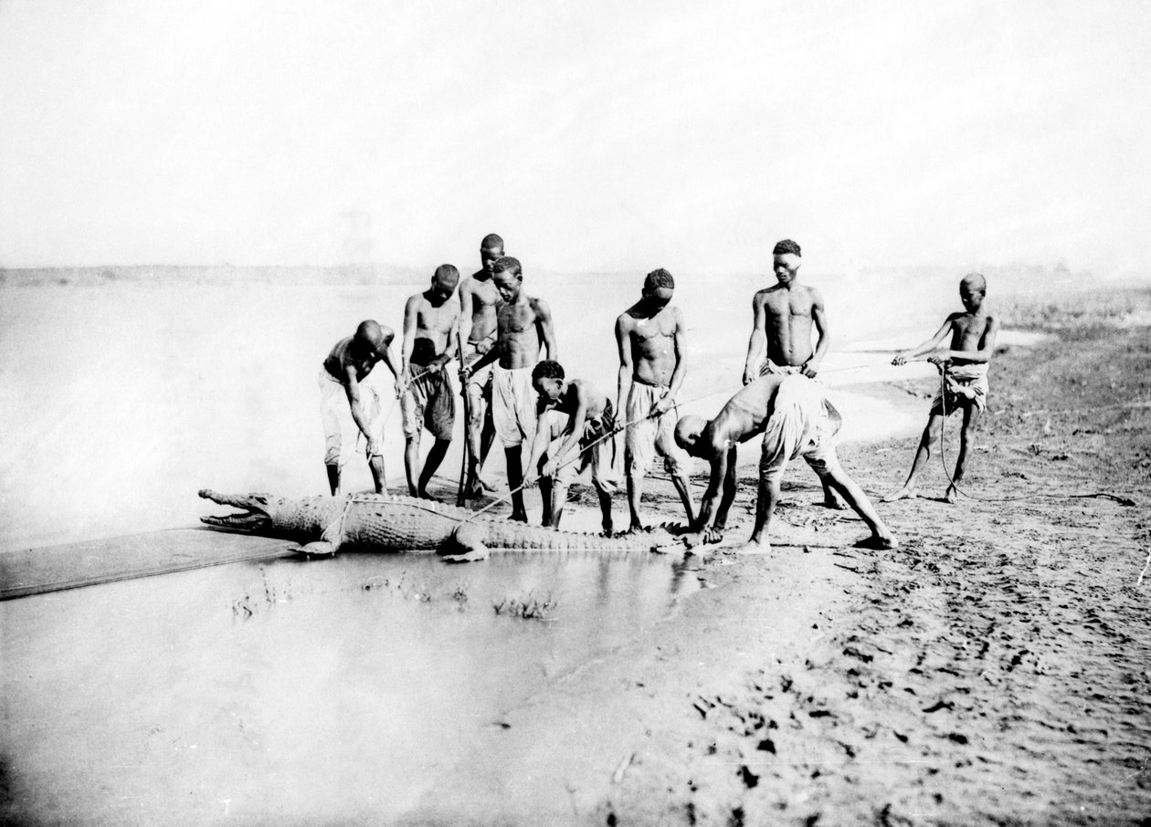 Jagt på en krokodille, Nubien, Egypten, 1887 af Georges Henri Bechard