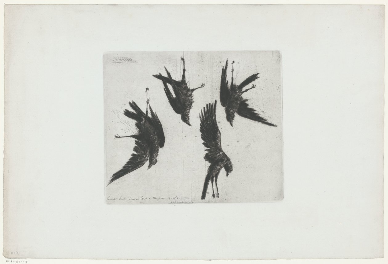 Fire døde krager hængende på en væg af Henri Charles Guérard (signed by artist)