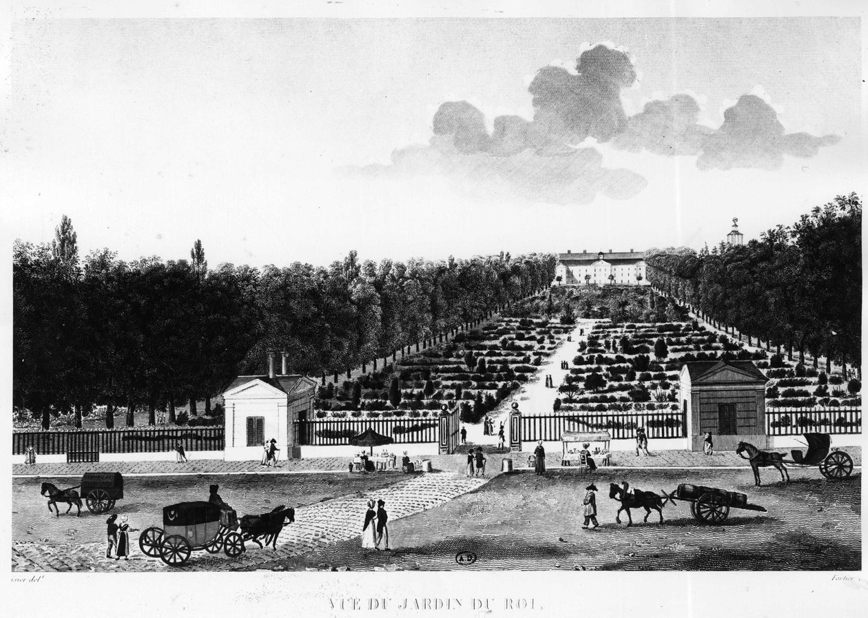 Udsigt fra kongens have: den botaniske have i Paris - gravering af Courvoisier af Henri Courvoisier Voisin