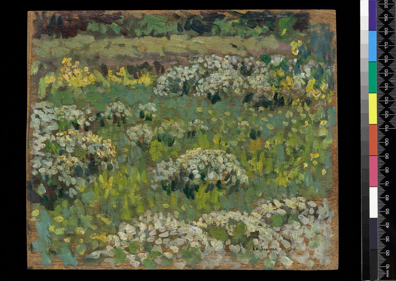 The Pond Garden, Hampton Court (olie på træ) af Henri Eugene Augustin Le Sidaner