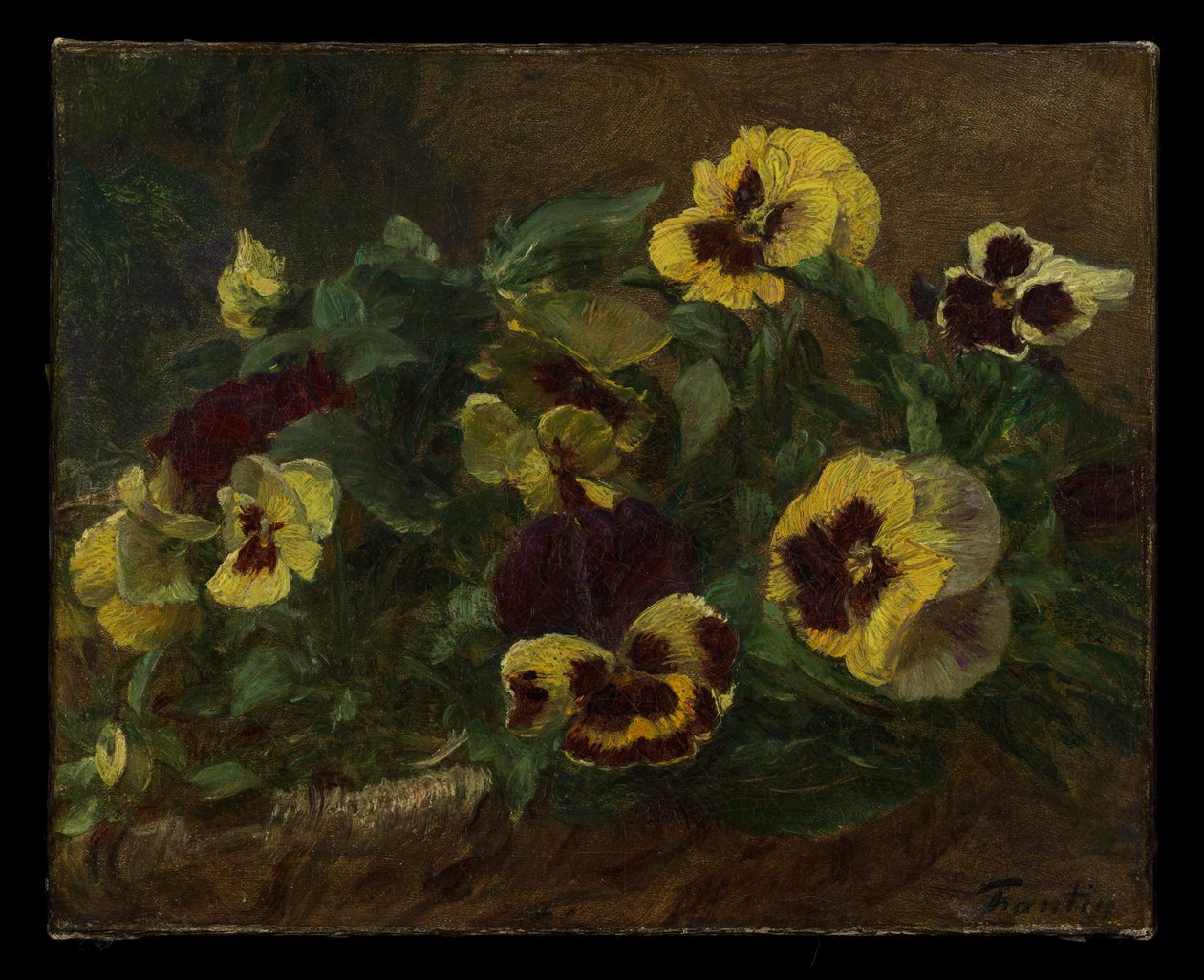 Pansies af Henri Fantin-Latour