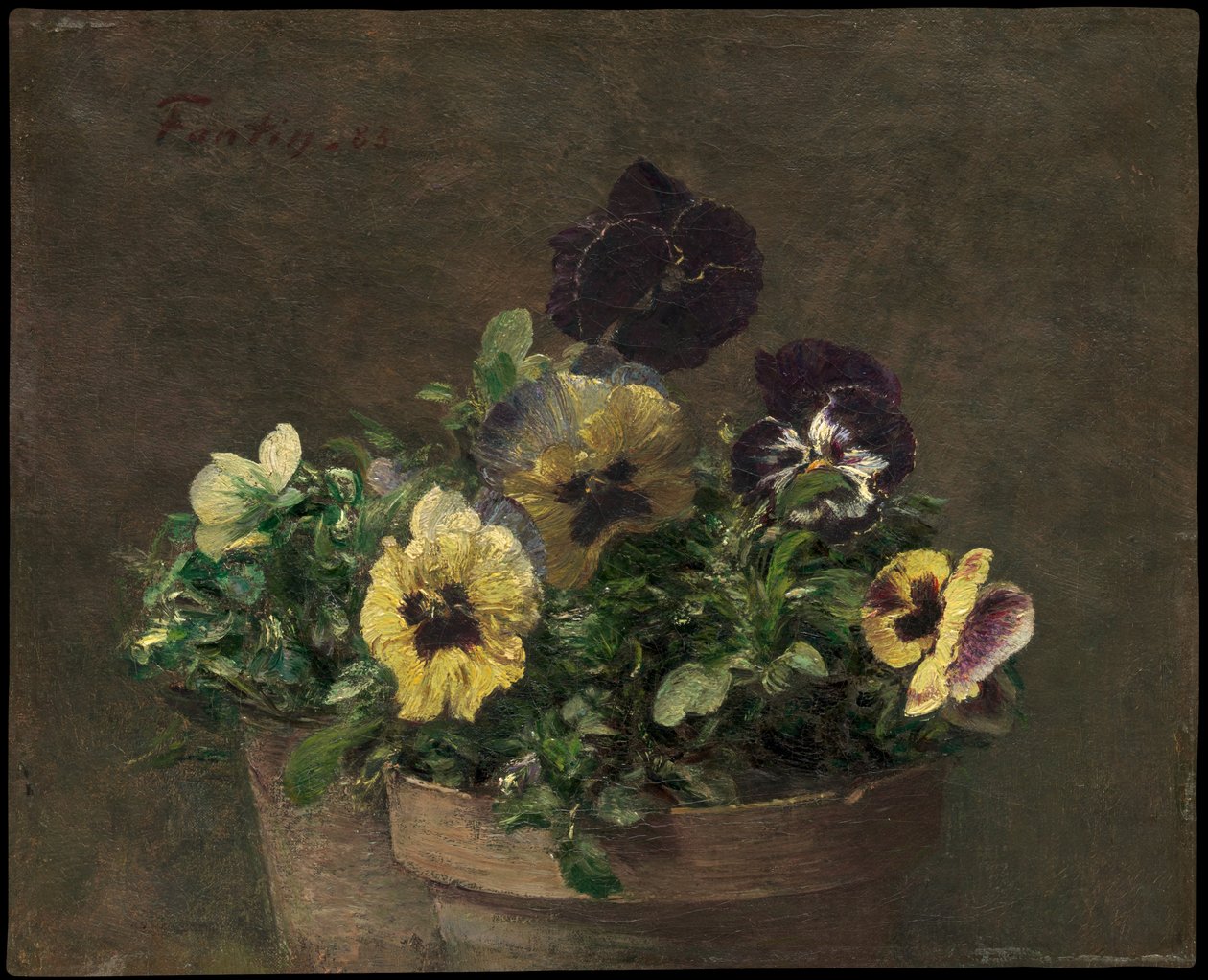 Stedmoderblomster i potte af Henri Fantin-Latour