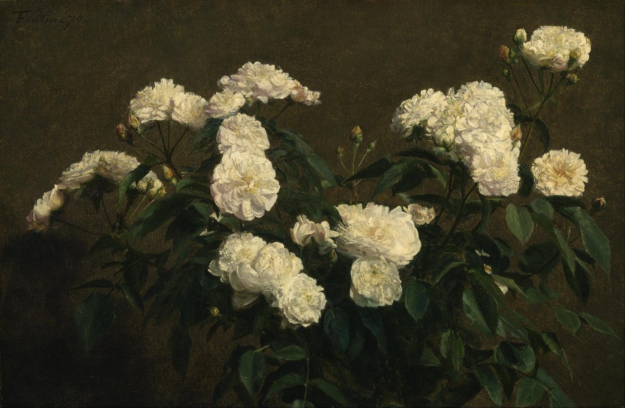 Stilleben med hvide roser af Henri Fantin Latour