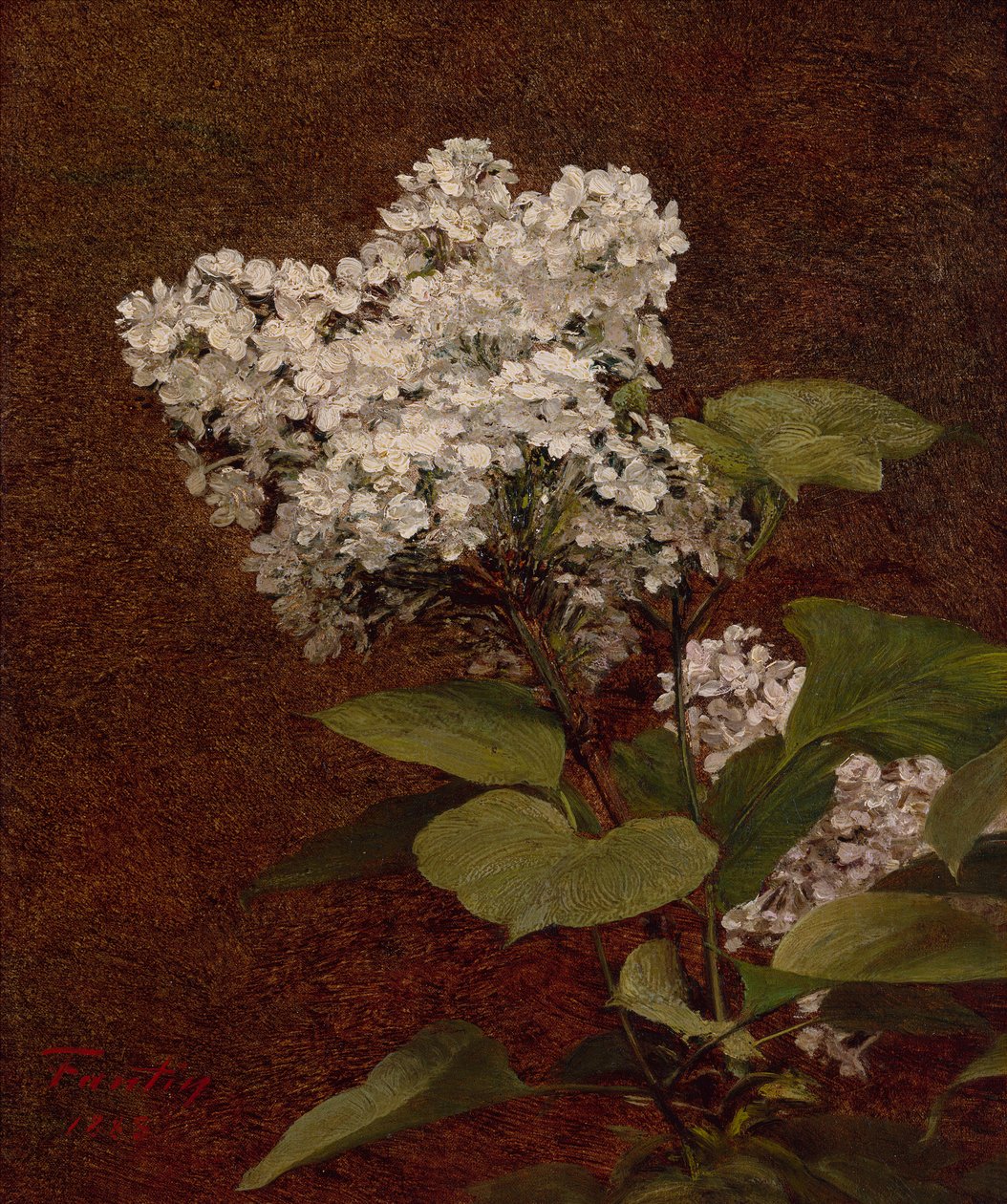 Hvide syrener af Ignace Henri Jean Fantin Latour