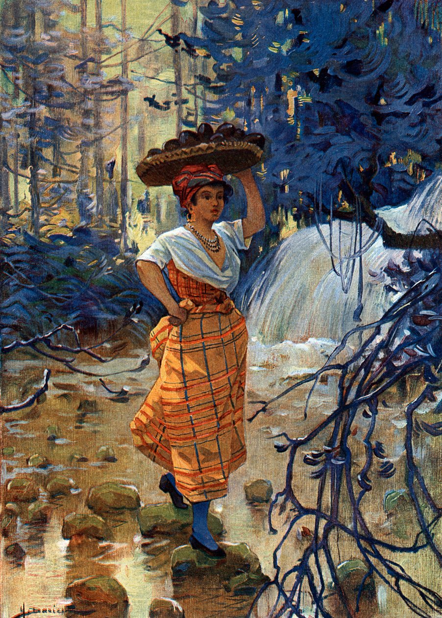 Portræt af ung kvinde, kreolsk fra de franske Antiller af Henri Gaston Darien