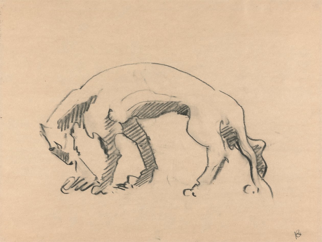Løvinde i profil af Henri Gaudier Brzeska