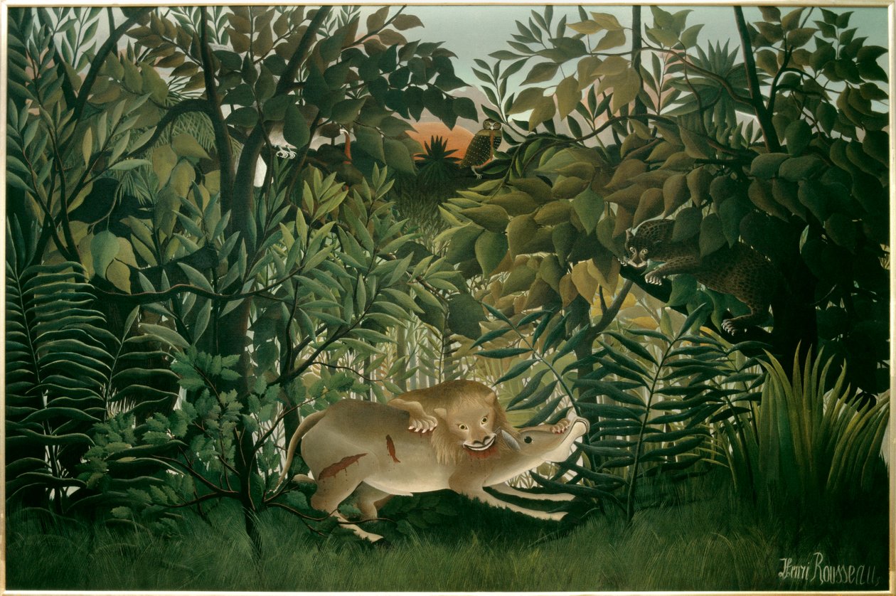 Sulten løve. Maleri af Henri Rousseau dit Le Douanier Rousseau (1844-1910), 20. århundrede. Olie på lærred. Dimension: 2,00 X 3,00 m. Bale, Museum of Fine Arts af Henri J.F. Rousseau
