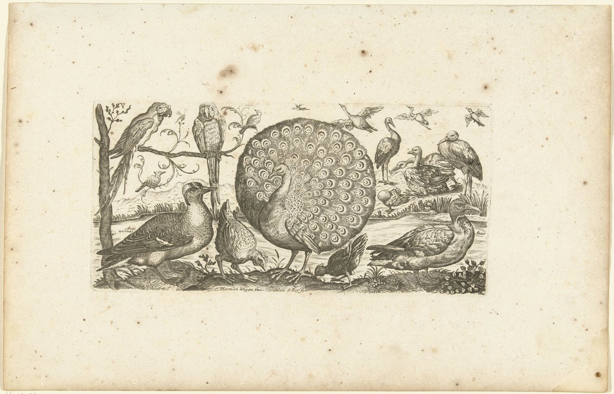 Atten fugle Fugle (serietitel) af Henri Le Roy