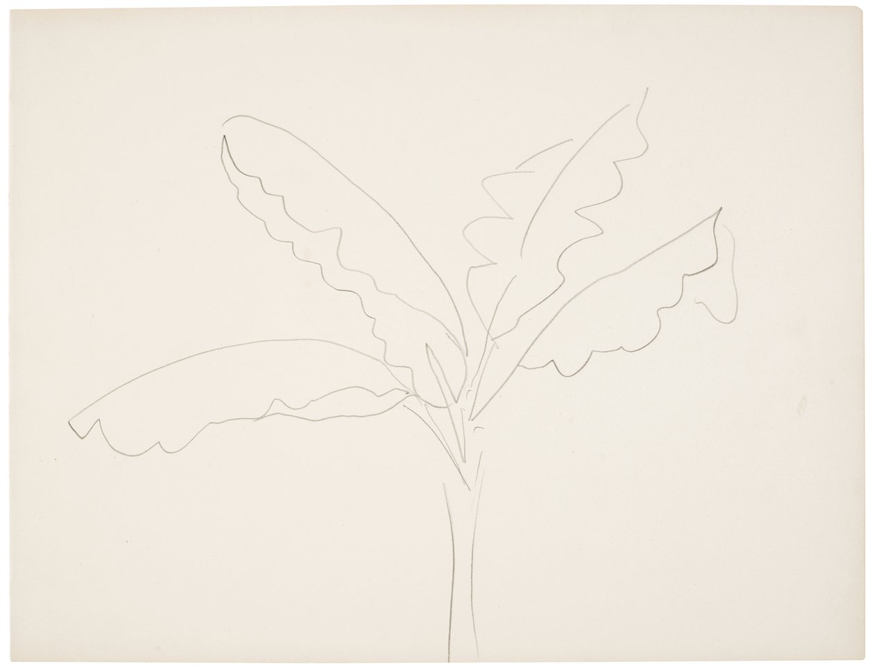 Banantræ (Tahiti) af Henri Matisse