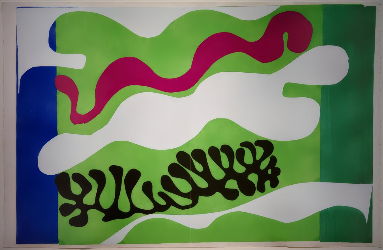 Le Lagon II / Jazz af Henri Matisse