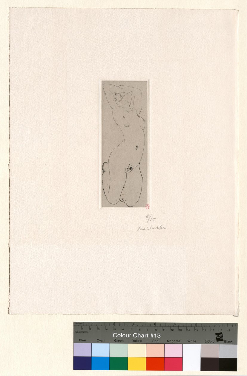 Nøgen, knælende og med ryggen buet af Henri Matisse