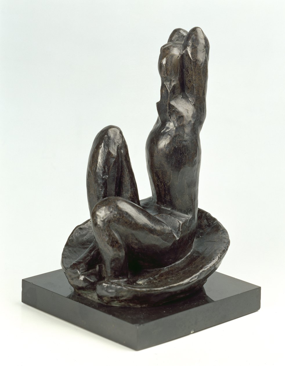Venus i en skal I af Henri Matisse