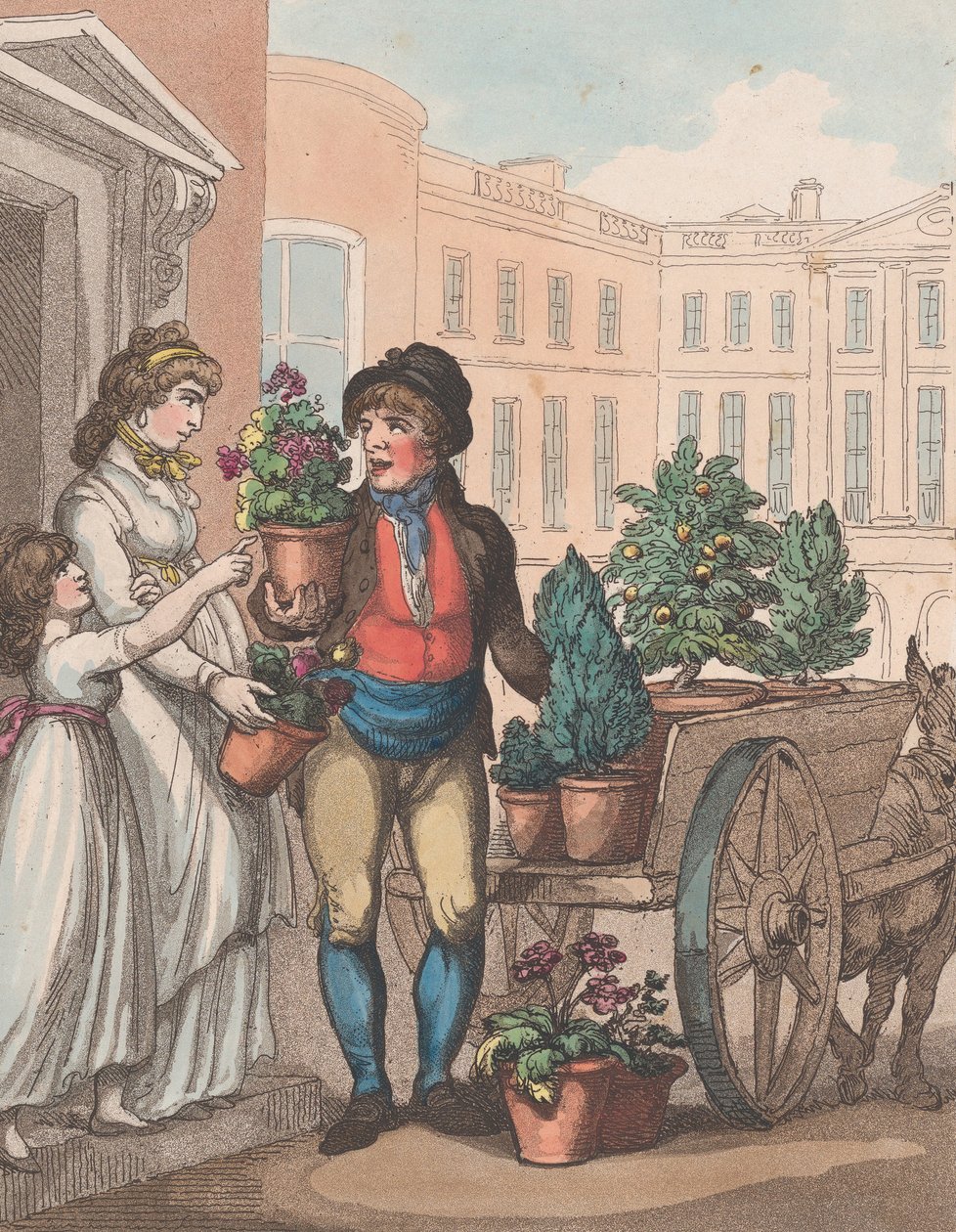 Cries of London, nr. 6: All a growing, here